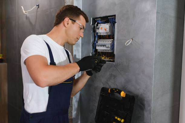 Best Electric Panel Repair  in Moweaqua, IL